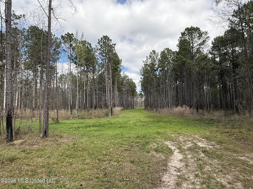 This 284.9+/- acre tract in Franklin County, Mississippi offers - photo 35