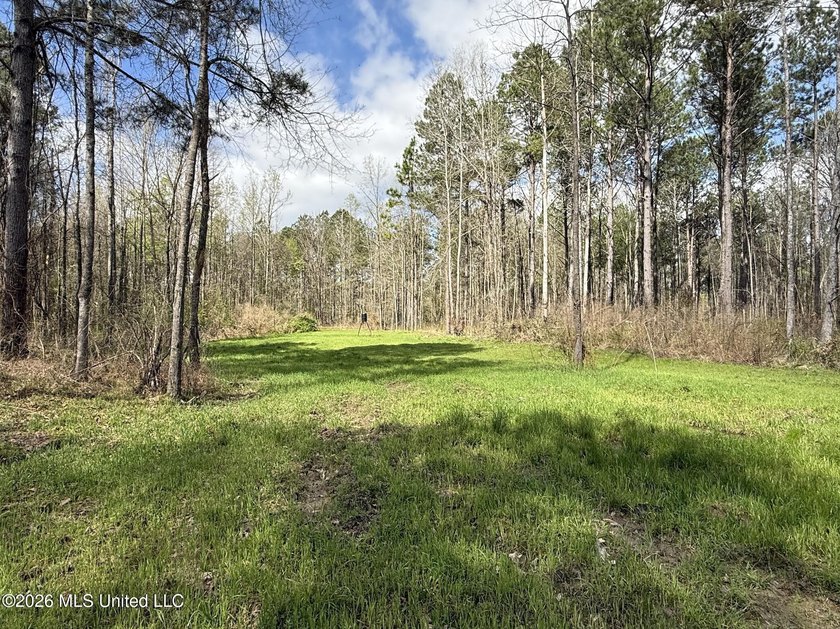 This 284.9+/- acre tract in Franklin County, Mississippi offers - photo 36
