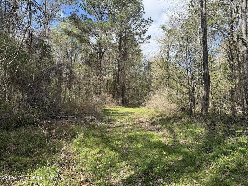 This 284.9+/- acre tract in Franklin County, Mississippi offers - photo 37