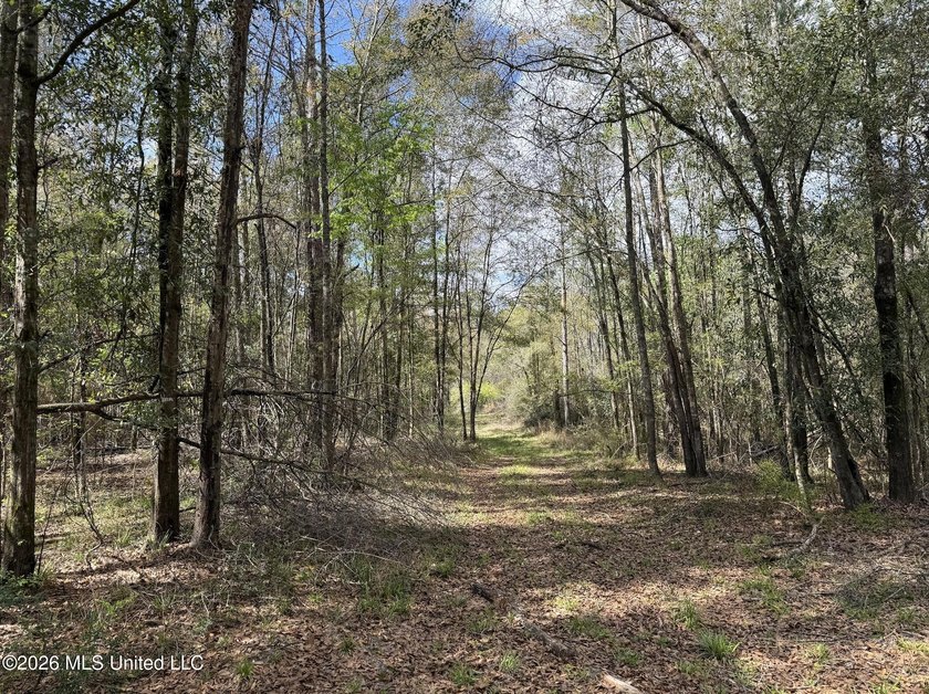 This 284.9+/- acre tract in Franklin County, Mississippi offers - photo 38