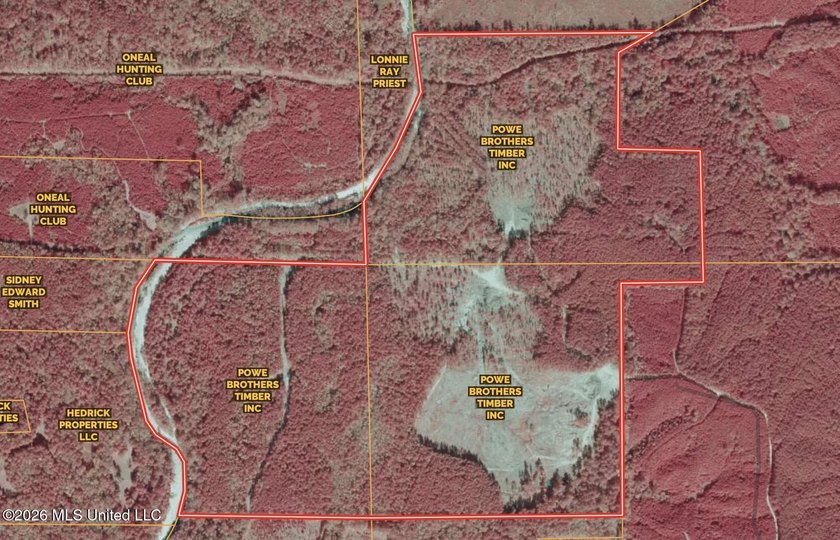 This 284.9+/- acre tract in Franklin County, Mississippi offers - photo 43