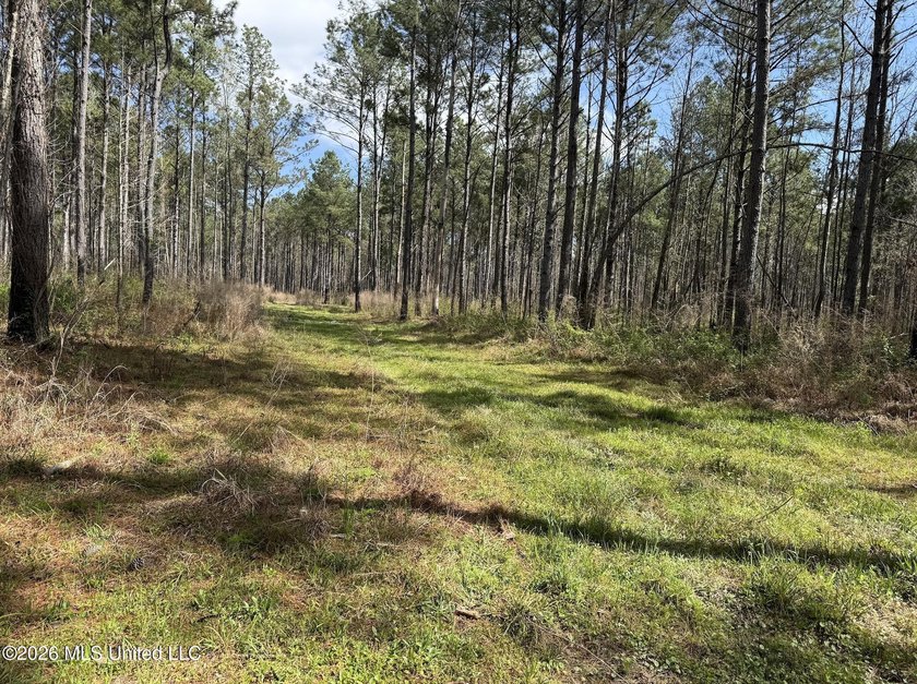 This 284.9+/- acre tract in Franklin County, Mississippi offers - photo 44