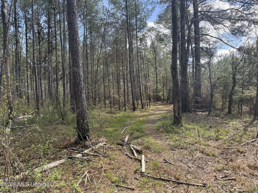 This 284.9+/- acre tract in Franklin County, Mississippi offers - photo 48