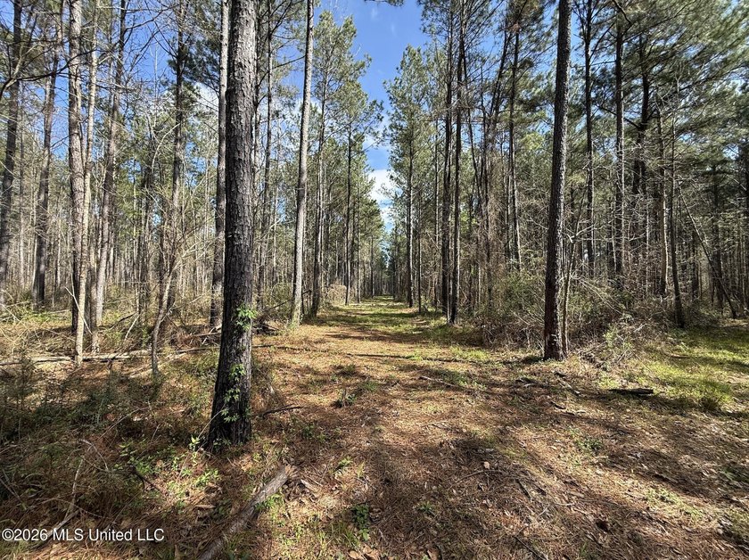 This 284.9+/- acre tract in Franklin County, Mississippi offers - photo 49