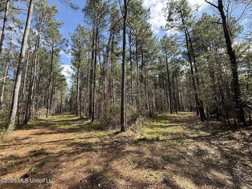 This 284.9+/- acre tract in Franklin County, Mississippi offers - photo 50