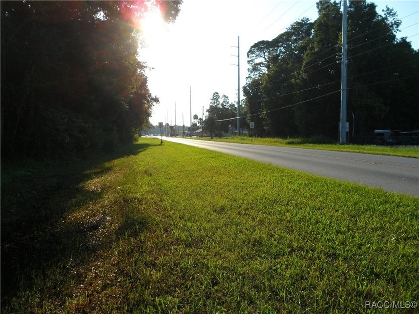 Prime location .02 miles from Hwy 19 in Homosassa. 2 parcels - photo 3