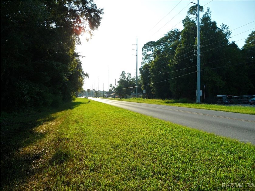 Prime location .02 miles from Hwy 19 in Homosassa. 2 parcels - photo 4