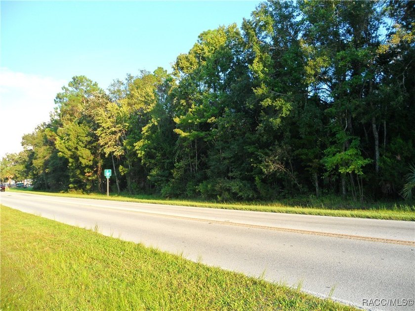 Prime location .02 miles from Hwy 19 in Homosassa. 2 parcels - photo 5