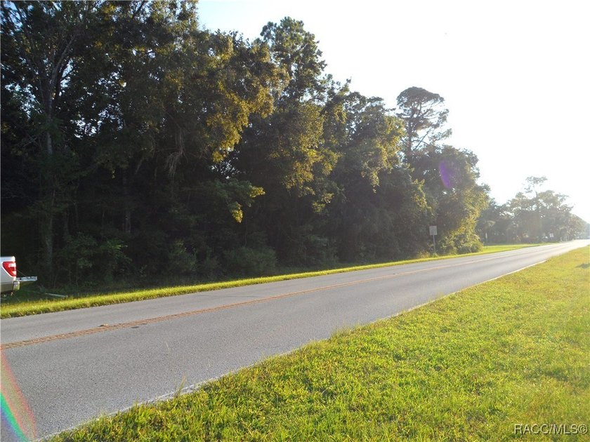 Prime location .02 miles from Hwy 19 in Homosassa. 2 parcels - photo 6