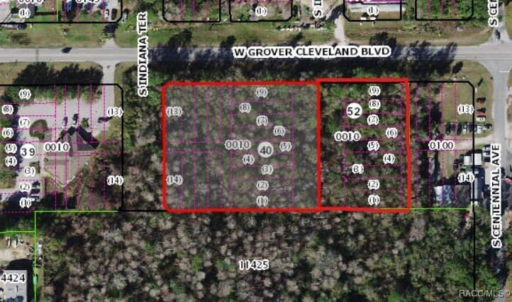 Prime location .02 miles from Hwy 19 in Homosassa. 2 parcels - photo 7