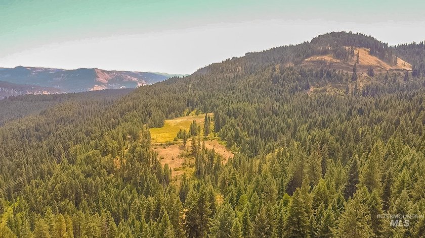 North Idaho Legacy: 90 acres across three separate parcels short - photo 49