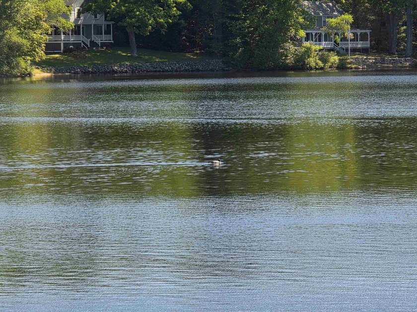 Perched on a 1-acre lot with a truly million-dollar, 180 view of - photo 22