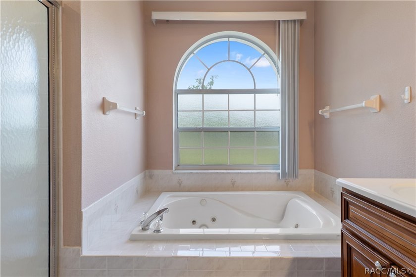 **Stunning Pool Home in Spring Hill's Pristine Place**Discover - photo 31