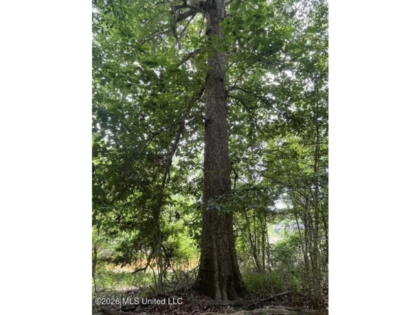 Have you been searching for that perfectly located piece of - photo 9