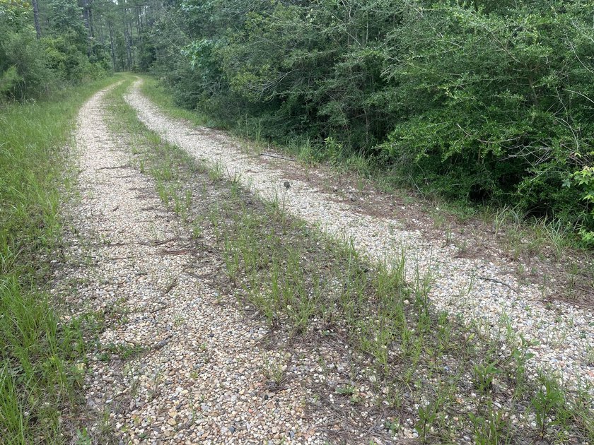 Here is a great piece of property that doesn't come around - photo 2