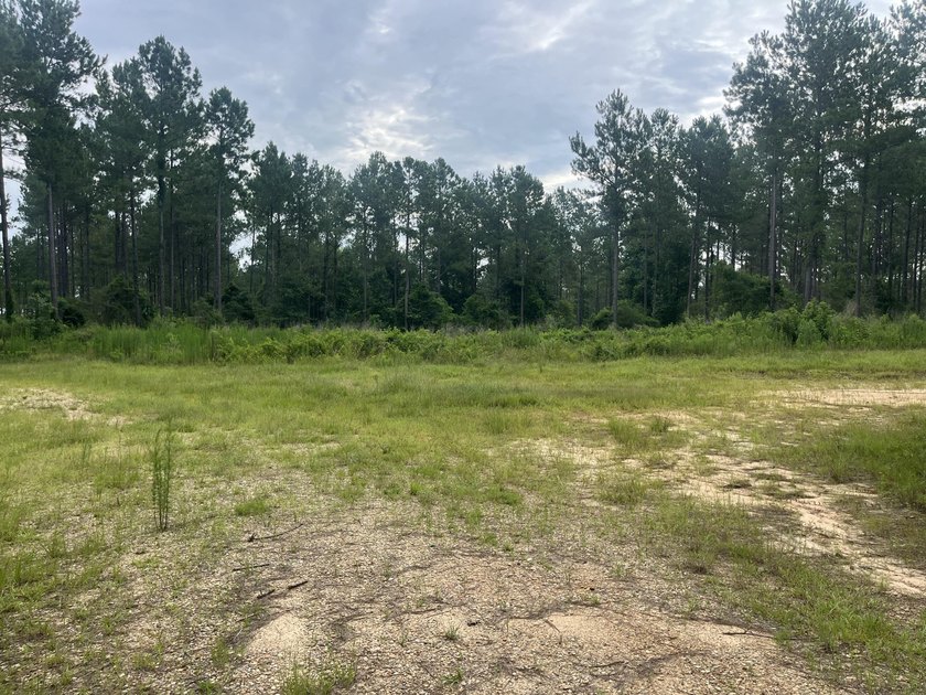 Here is a great piece of property that doesn't come around - photo 5