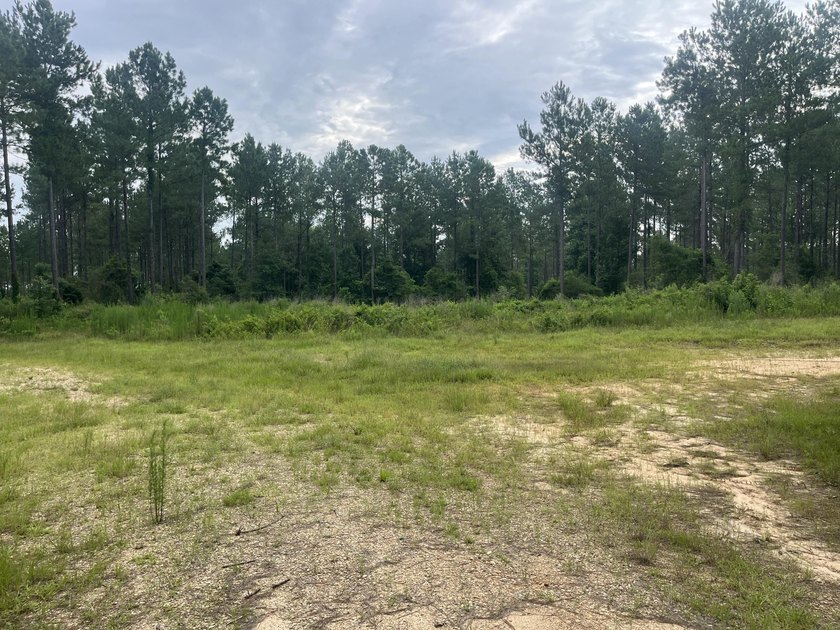 Here is a great piece of property that doesn't come around - photo 6