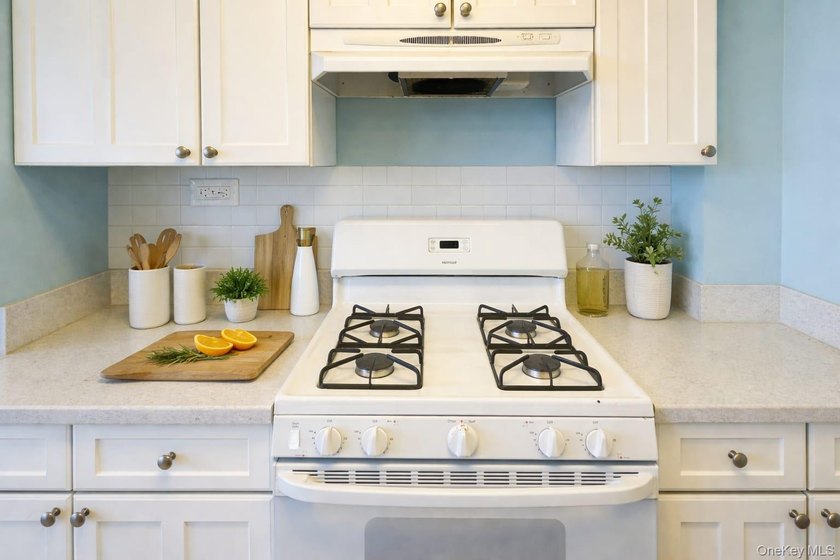 JUST LISTED! MOVE-IN READY 1 BEDROOM, 1 BATH CO-OP IN BRONX NY - photo 10