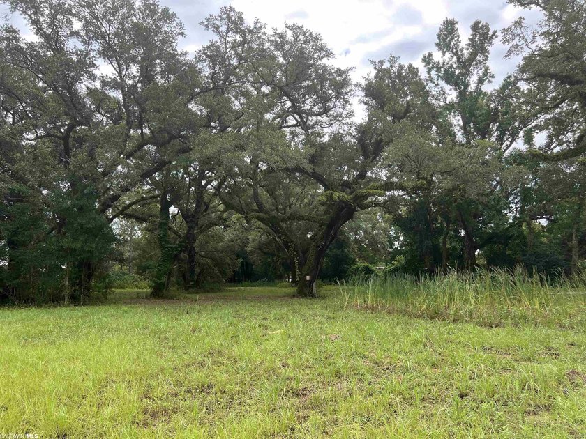 Opportunity awaits in the heart of Fairhope. 139+- Acres - photo 4