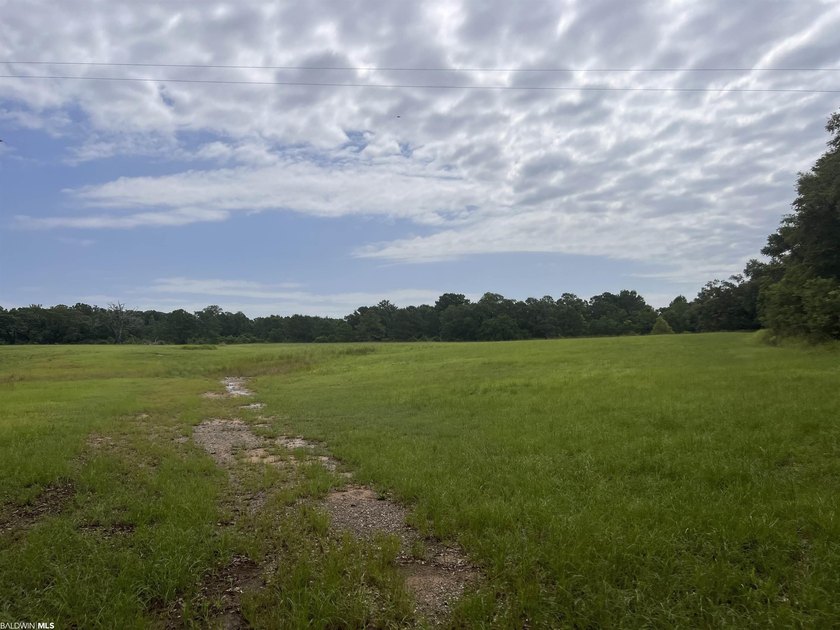 Opportunity awaits in the heart of Fairhope. 139+- Acres - photo 7