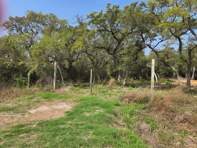 2 tree covered Lots that back up to the Tule Park Trail. New - photo 3
