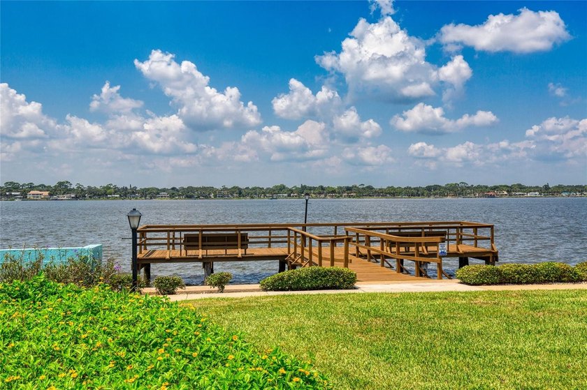 Updated move-in ready, this beautiful condo on the Ormond Beach - photo 42