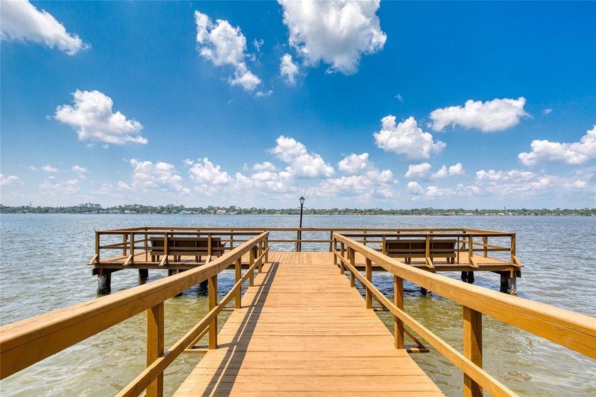 Updated move-in ready, this beautiful condo on the Ormond Beach - photo 43