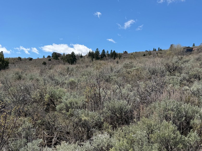 Are you looking for a quiet, family-friendly Bear Lake escape? - photo 7