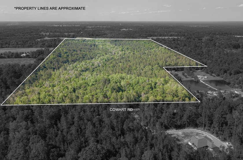 Seventy-four acres of George County timber, with a cleared spot - photo 2