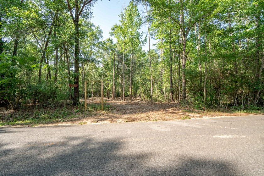 Seventy-four acres of George County timber, with a cleared spot - photo 5