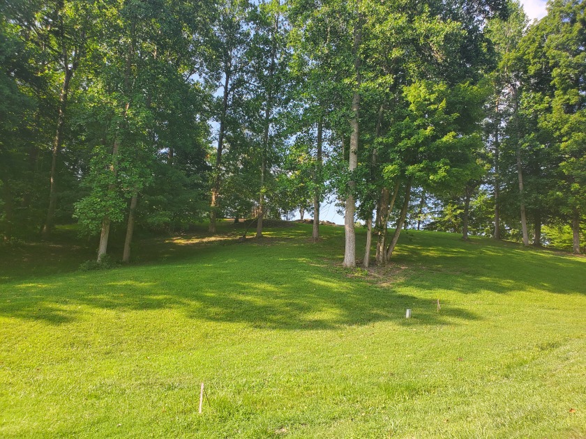 Kuttawa Springs Court, Kuttawa, KY 42055, 3003478