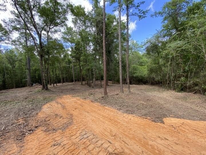 Seventy-four acres of George County timber, with a cleared spot - photo 7