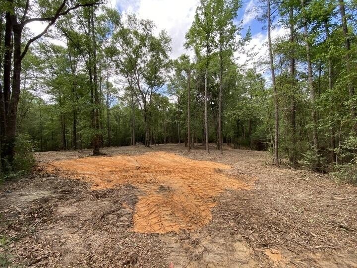 Seventy-four acres of George County timber, with a cleared spot - photo 8