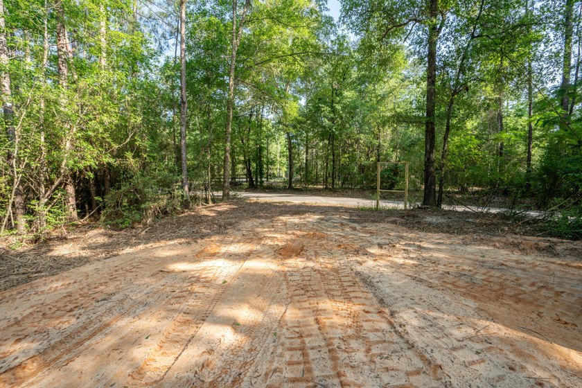 Seventy-four acres of George County timber, with a cleared spot - photo 9