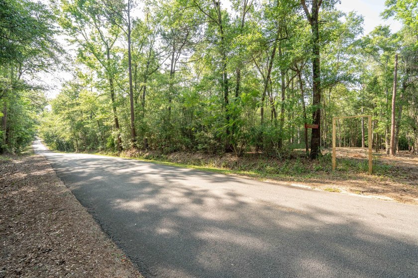 Seventy-four acres of George County timber, with a cleared spot - photo 10