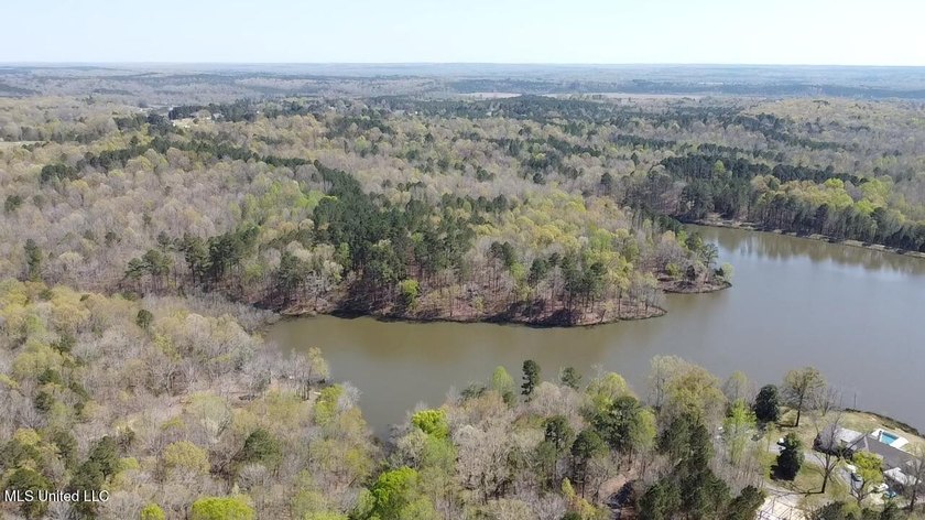 25 Acres on Lafayette Lake- Only 10 Minutes From Oxford, MS! - photo 11