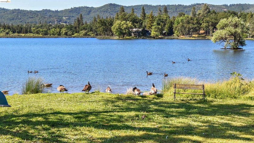 LAKEFRONT LIVING, WITH SWEEPING, PANORAMIC LAKE &amp; MOUNTAIN - photo 42