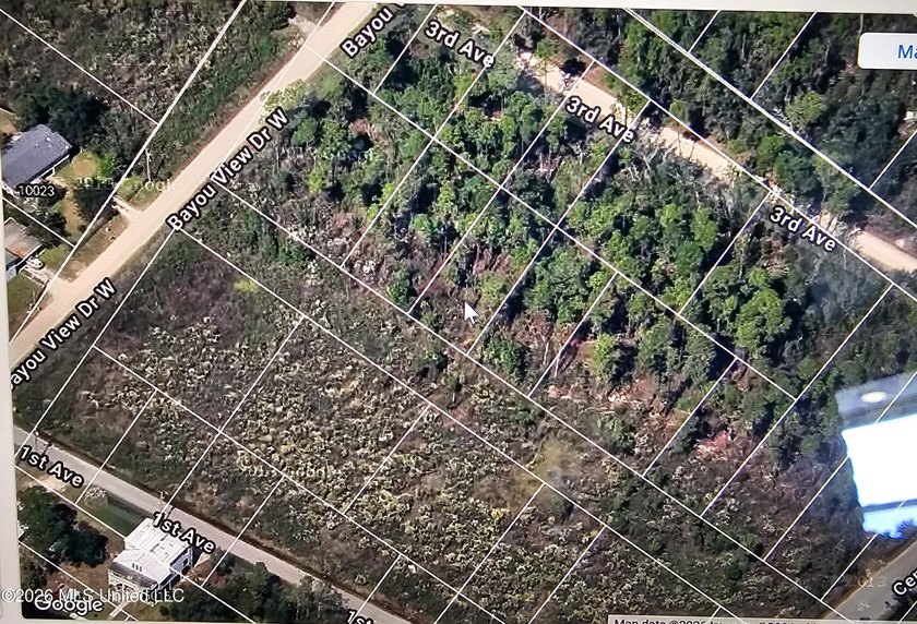 Wooded lot in Shoreline Park. Coordinates: Lat: 30.32068 Long: - photo 2