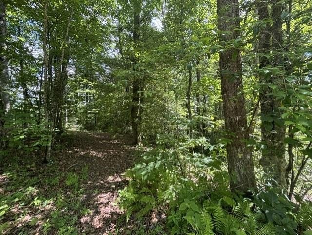 Nice lot located in the well-established development of El- - photo 2