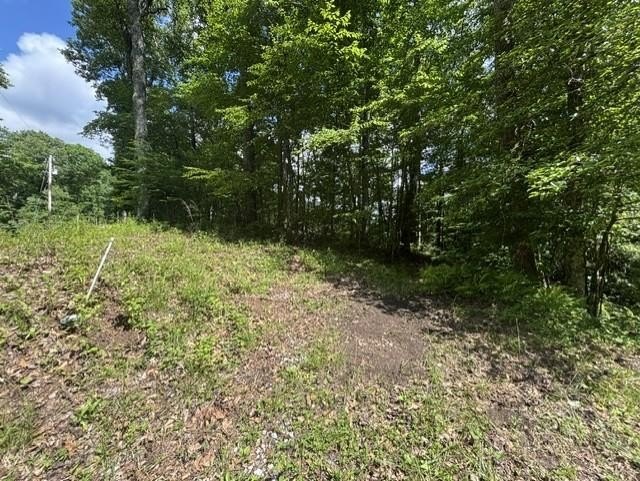 Nice lot located in the well-established development of El- - photo 3