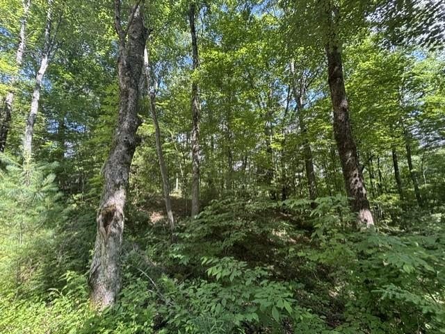 Nice lot located in the well-established development of El- - photo 5