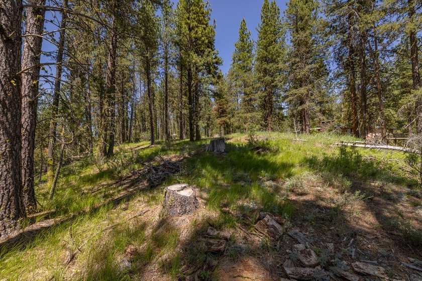 Valley View Lot on Huckleberry Place! Seller financing available - photo 11