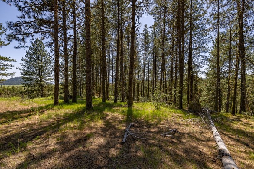 Valley View Lot on Huckleberry Place! Seller financing available - photo 12