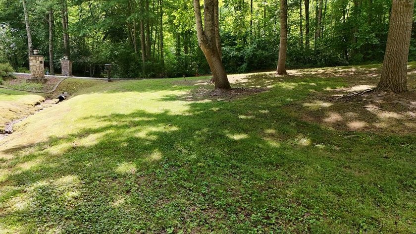 This lot provides an excellent opportunity for mountain living - photo 5