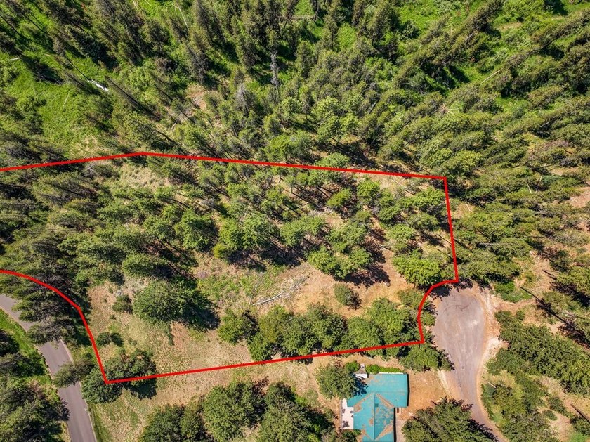 Valley View Lot on Huckleberry Place! Seller financing available - photo 15