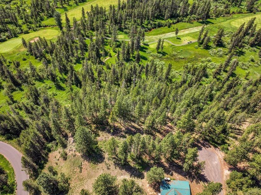 Valley View Lot on Huckleberry Place! Seller financing available - photo 16
