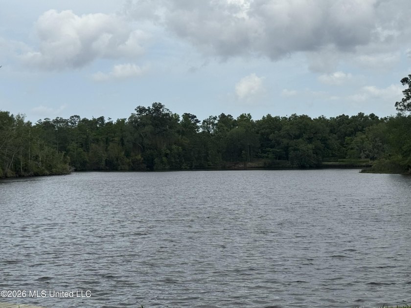 This property is right off the river and in a beautiful spot - photo 2