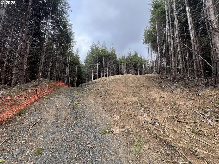 Prime 7.74-Acre Development Opportunity - Ideal for Investors! - photo 12
