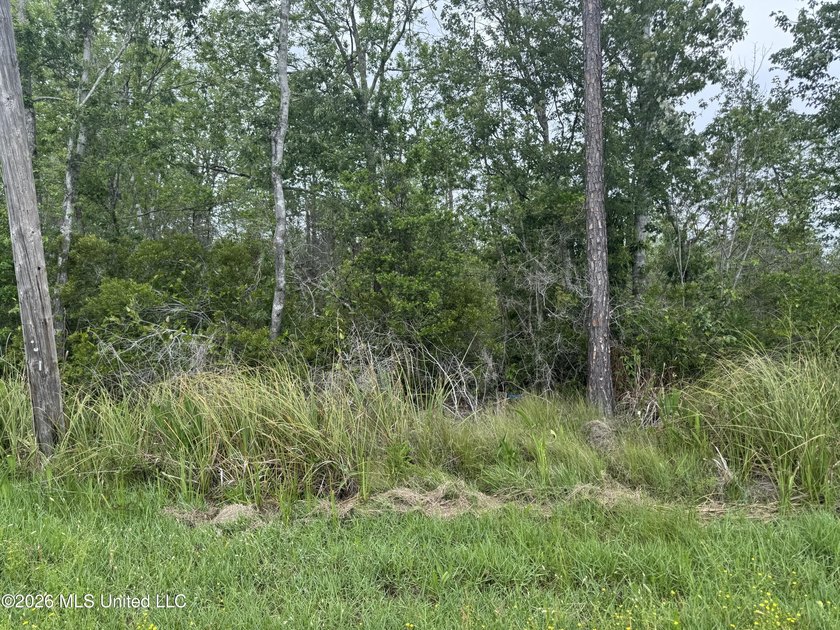 This property is right off the river and in a beautiful spot - photo 4