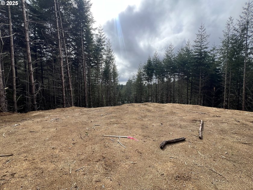 Prime 7.74-Acre Development Opportunity - Ideal for Investors! - photo 16